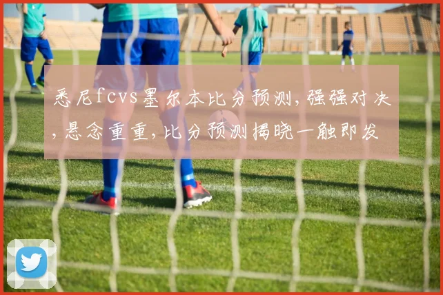 悉尼fcvs墨尔本比分预测,强强对决,悬念重重,比分预测揭晓一触即发