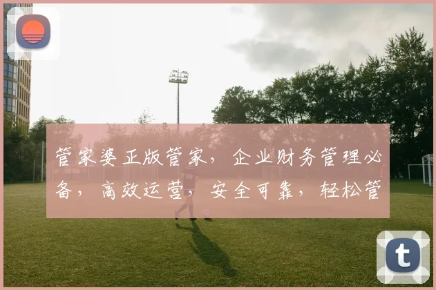 管家婆正版管家，企业财务管理必备，高效运营，安全可靠，轻松管理