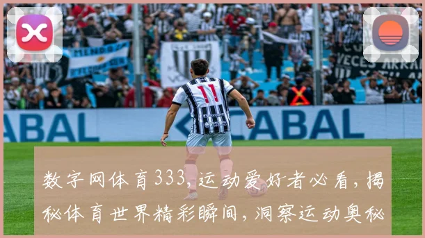 数字网体育333,运动爱好者必看,揭秘体育世界精彩瞬间,洞察运动奥秘,共赏体育盛宴