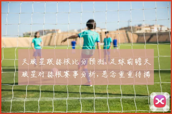 天狼星跟赫根比分预测,足球前瞻天狼星对赫根赛事分析,悬念重重待揭晓